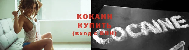 спиды Дмитров