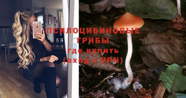 меф VHQ Дмитриев