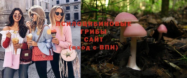 меф VHQ Дмитриев