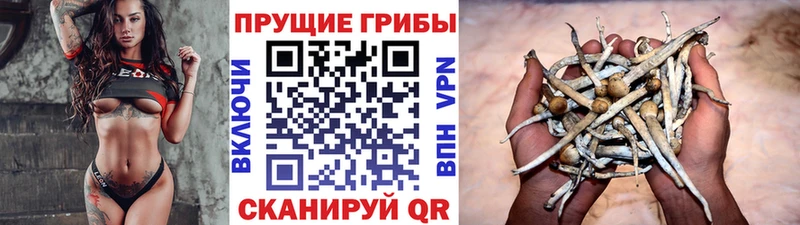 Псилоцибиновые грибы ЛСД  Купить  Мосальск 